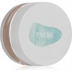 Paese Minerals minerální bronzer 400N Light 6 g – Zboží Dáma