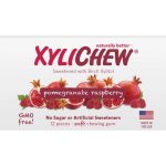 Xylichew granátové jablko & malina žvýkačky 12 ks – Zboží Mobilmania