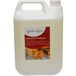 Gaia Spa Esence do sauny Granátové jablko 5 l – Zboží Dáma