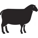 Essential Foods Lamb Mini DeLights 100 g – Sleviste.cz