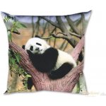Dadka Fotopolštář Panda 40x40 – Zboží Dáma