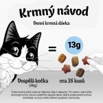 Felix Party Mix Picnic kuře krůta a sýr 60 g – Zboží Mobilmania