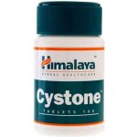 Himalaya Cystone 100 tablet – Zbozi.Blesk.cz