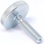 Šroub s nízkou rýhovanou hlavou, DIN 653, pozinkovaný M3 x 6, balení 1 ks – Zbozi.Blesk.cz