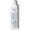 Šampon BES Colour Lock Clarifying Shampoo 300 ml
