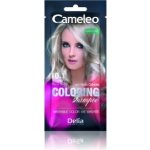 Delia Cameleo No1 barevný šampon 10.1 stříbrný 40 ml – Hledejceny.cz