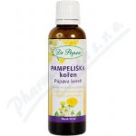 Dr. Popov Pampeliška kořen originální bylinné kapky 50 ml – Hledejceny.cz