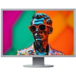 Eizo FlexScan EV2436W – Sleviste.cz