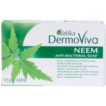 Dabur Vatika přírodní antibakteriální mýdlo Neem 115 g – Hledejceny.cz