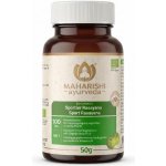 Maharishi Ayurveda BIO Sport Rasayana 100 tablet – Hledejceny.cz