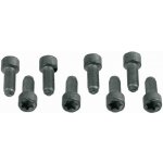 Sada šroubů pro setrvačník SACHS 1874 000 031 (1874000031) | Zboží Auto