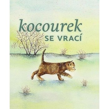 Kocourek se vrací - Miichaela Hrachovcová