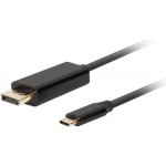 Lanberg CA-CMDP-10CU-0010-BK – Hledejceny.cz