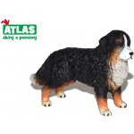Atlas B Bernský salašnický pes – Zbozi.Blesk.cz