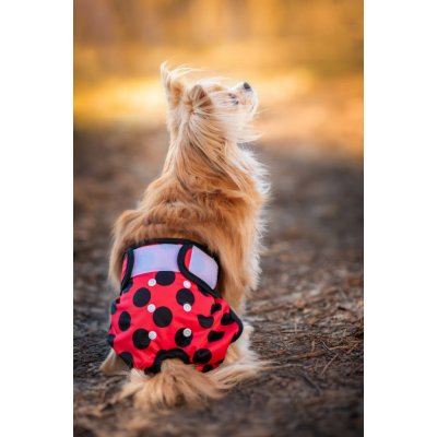 Vsepropejska Gama hárací kalhotky pro psa Červená 18 - 28 – Hledejceny.cz