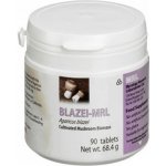 MRL Blazei 90 tablet – Hledejceny.cz