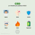 BrainMax CéBéDé ULTIMATE 40% 10 ml – Hledejceny.cz