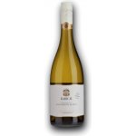 Babich Sauvignon Blanc 2025 12,5% 0,75 l (holá láhev) – Hledejceny.cz
