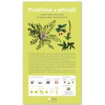 Lipka - školské zaří PROSTŘENO V PŘÍRODĚ – Hledejceny.cz