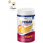 Vitar Veterinae Artivit Pegas Forte 7 prášek 700 g – Zboží Mobilmania