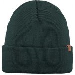 Barts zimní čepice Willes beanie Bottle Green – Hledejceny.cz