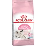 Royal Canin Mother & Babycat 34 2 x 4 kg – Hledejceny.cz