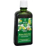 Weleda Březová šťáva BIO Bez cukru 250 ml – Zbozi.Blesk.cz