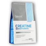 Ostrovit Creatine monohydrate 1000 g – Zboží Mobilmania