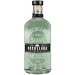 Nocheluna sotol 43% 0,7 l (holá láhev) – Hledejceny.cz