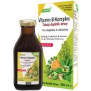 Doplněk stravy Salus Vitamin-B-Komplex 250 ml