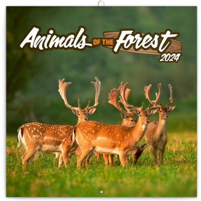 Poznámkový Zvířátka z lesa 30 × 30 cm 2024 – Zboží Mobilmania