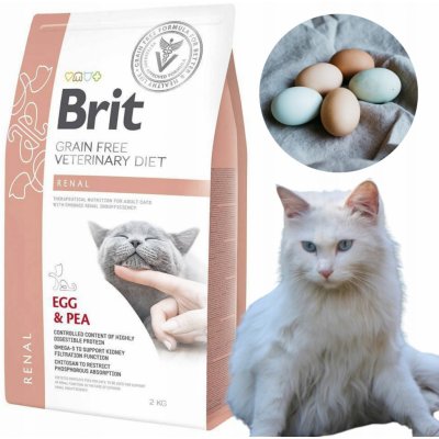 Brit Veterinary Diets Cat GF Renal 2 kg – Zbozi.Blesk.cz