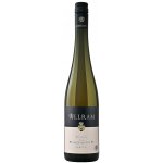 Weingut Allram Helligenstein 1ÖTW Ryzlink rýnský suché bílé 2020 13% 0,75 l (holá láhev) – Hledejceny.cz