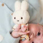 Little Dutch Chrastítko králíček Miffy Vintage Proužky – Zboží Mobilmania