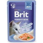 Brit Premium Cat Delicate Fillets in Jelly with Salmon 24 x 85 g – Sleviste.cz
