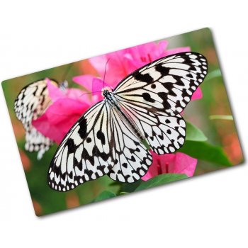 Kuchyňská deska skleněná Motýl na květině pl-ko-80x52-f-111962748 od 655 Kč  - Heureka.cz