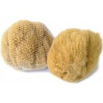 Caribbean Sun mořská houba karibská 12-13 cm – Zboží Dáma