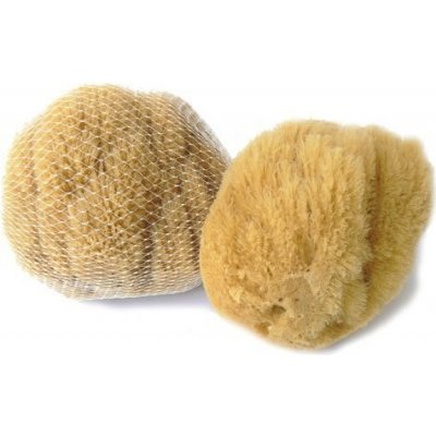 Caribbean Sun mořská houba karibská 12-13 cm – Zboží Dáma