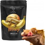 Gecko Nutrition banán, mango 50 g – Zboží Dáma