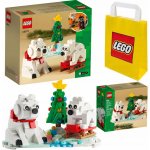 LEGO® 40571 Lední medvědi o Vánocích – Hledejceny.cz