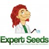 Semena konopí Expert Seeds Sweet Zombie semena neobsahují THC 1 ks