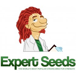 Expert Seeds Critical Blue Auto semena neobsahují THC 1 ks