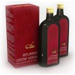 Dr. Landa Bylinná ústní voda 2 x 250 ml – Zboží Dáma