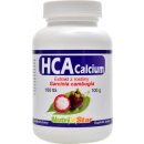 Nutristar HCA Ca (Garcinia) 100 tablet