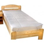 Brotex chránič matrace Luxus plus prošitý s výplní dutého vlákna 200x200 – Hledejceny.cz