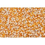 Krmné směsi Kvídera Kukuřice popkornová 1 Kg – Zboží Dáma