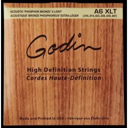 Godin Strings Acoustic Guitar XLT