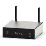 Arylic A50+ – Zboží Živě