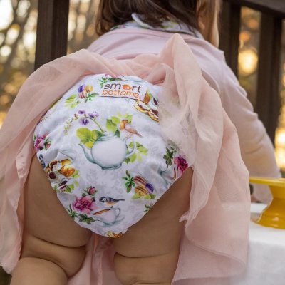 Smart Bottoms Dream Diaper 2.0 Tea Party – Zbozi.Blesk.cz