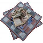 Etex Kapesníky z česané bavlny světlá kostka – Zboží Dáma